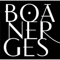 Mercado Boanerges logo