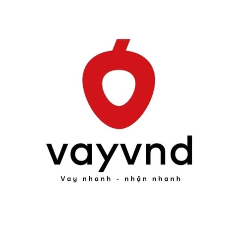 VayVND logo